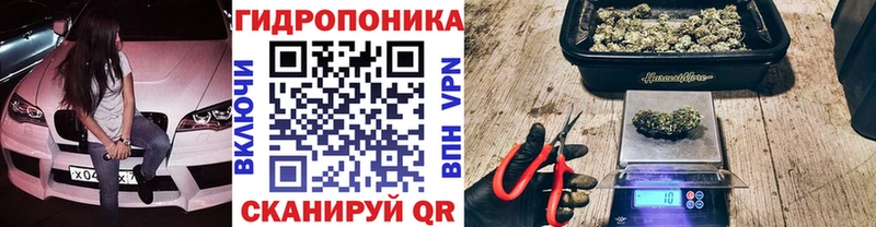Купить где  Анива  МАРИХУАНА MAZAR 